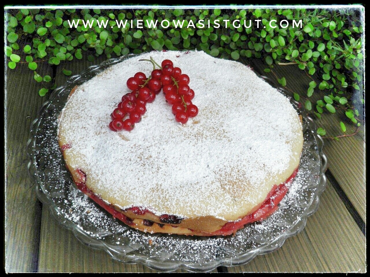 Softer Träuble-Joghurt Kuchen - Wiewowasistgut