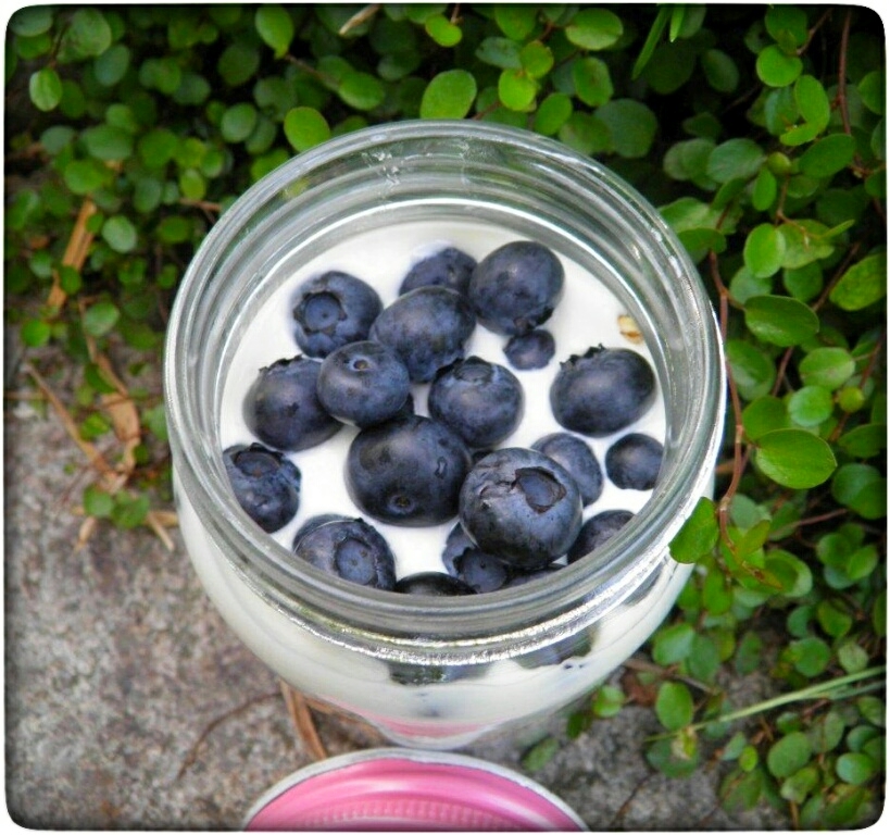 Overnight Oats mit Blaubeer-Joghurt-Quark und Müsli - Wiewowasistgut