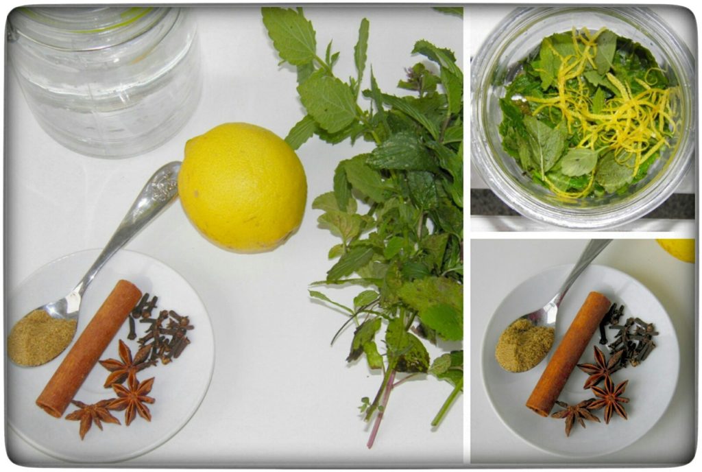 Minz-Gewürz-Verdauungslikör-aus-dem-Thermomix