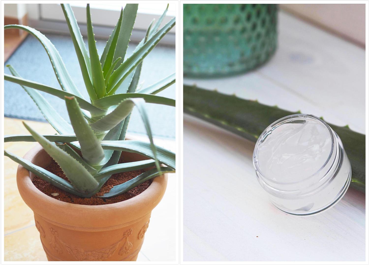 Kräuterhof® Aloe Vera Gel – 200 Ml, 96% Aloe – Für Feuchtigkeit & Pflege Nach Sonne, Gesicht & Körper