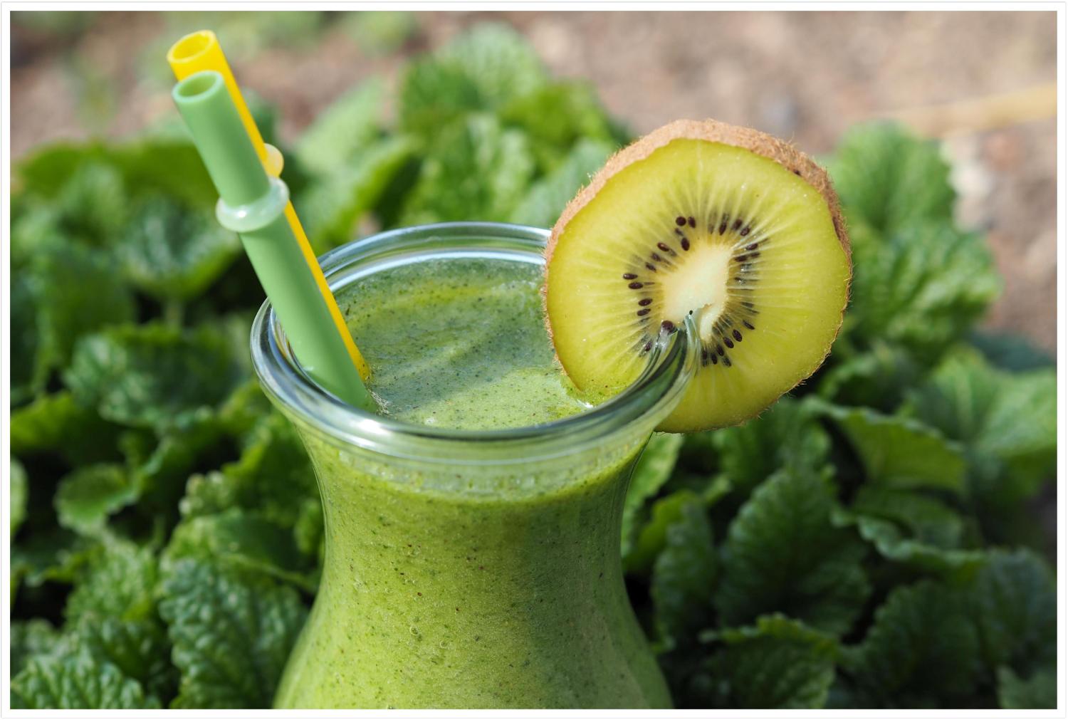 Grüner-Smoothie-aus-dem-Thermomix-Wildkräuter-Ananas-Smoothie ...