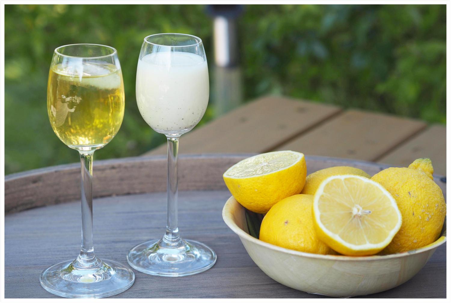 Limoncello-Crema-di-Limoncello-selbstgemacht-Thermomix - Wiewowasistgut