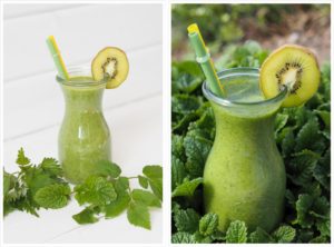Grüner-Smoothie-aus-dem-Thermomix-Wildkräuter-Ananas-Smoothie