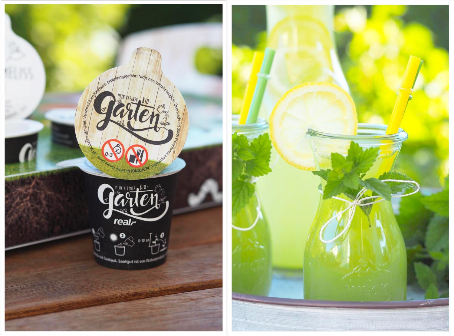 ZitronenmelissenIngwerLimonademeinkleinerBioGartenvonreal