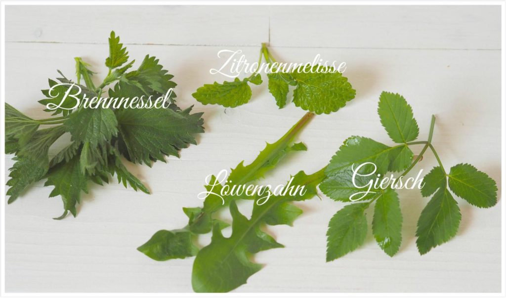 Übersäuerung-adé-basischem-Wildkräuter-Smoothie-Basentabs-pH-balance-Pascoe®