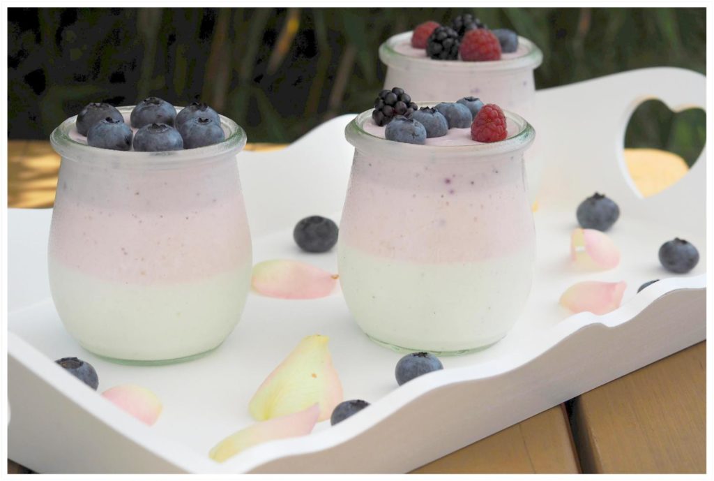 fruchtiges-joghurt-dessert-thermomix-in-3-farben