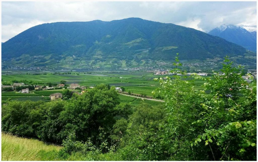 lana-suedtirol-mediterranes-flair-trifft-auf-gruene-wiesen-berge