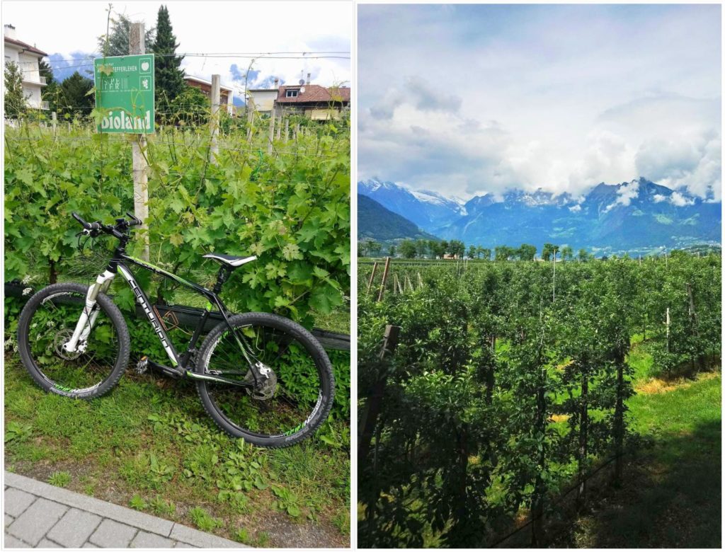 lana-suedtirol-mediterranes-flair-trifft-auf-gruene-wiesen-berge