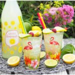 zitronen-minz-limonade-roemerquelle