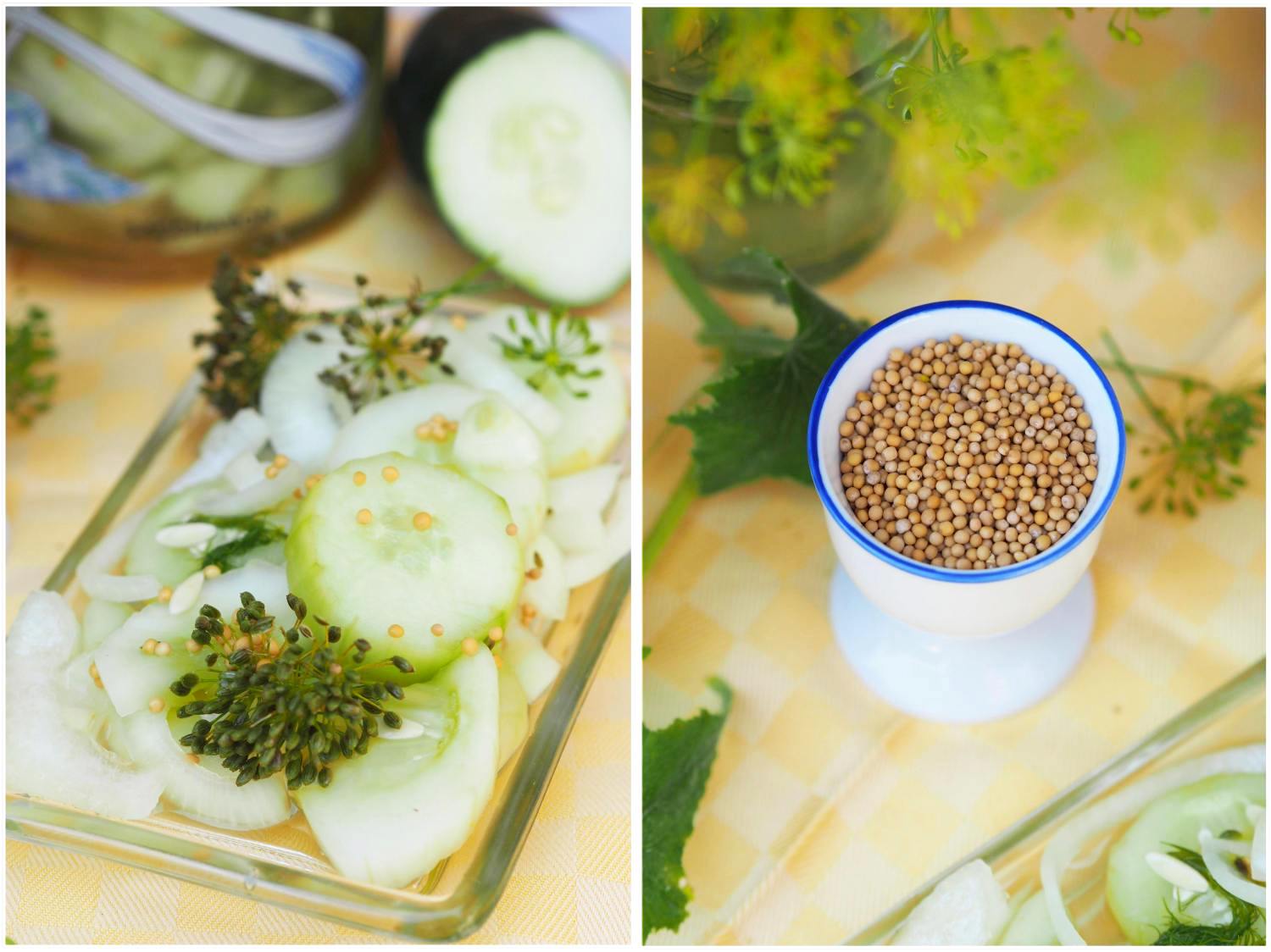 gurkenschwemmewiewaereesmiteingelegtenschuettelgurken Wiewowasistgut