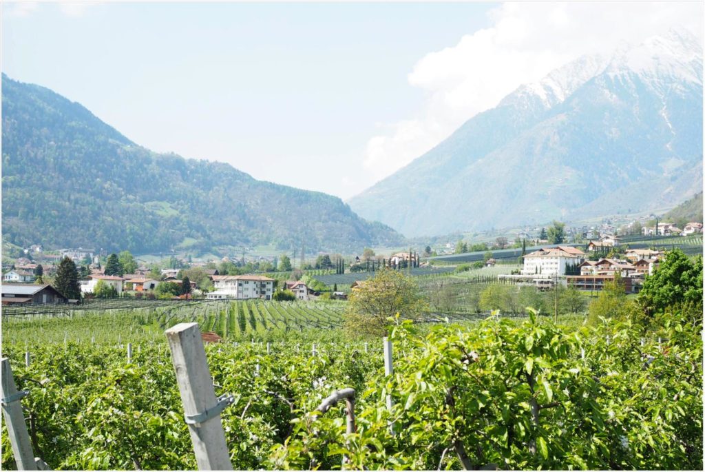 villaverde-aparthotel-in-algund-meran-eine-ruheoase-im-schoenen-suedtirol