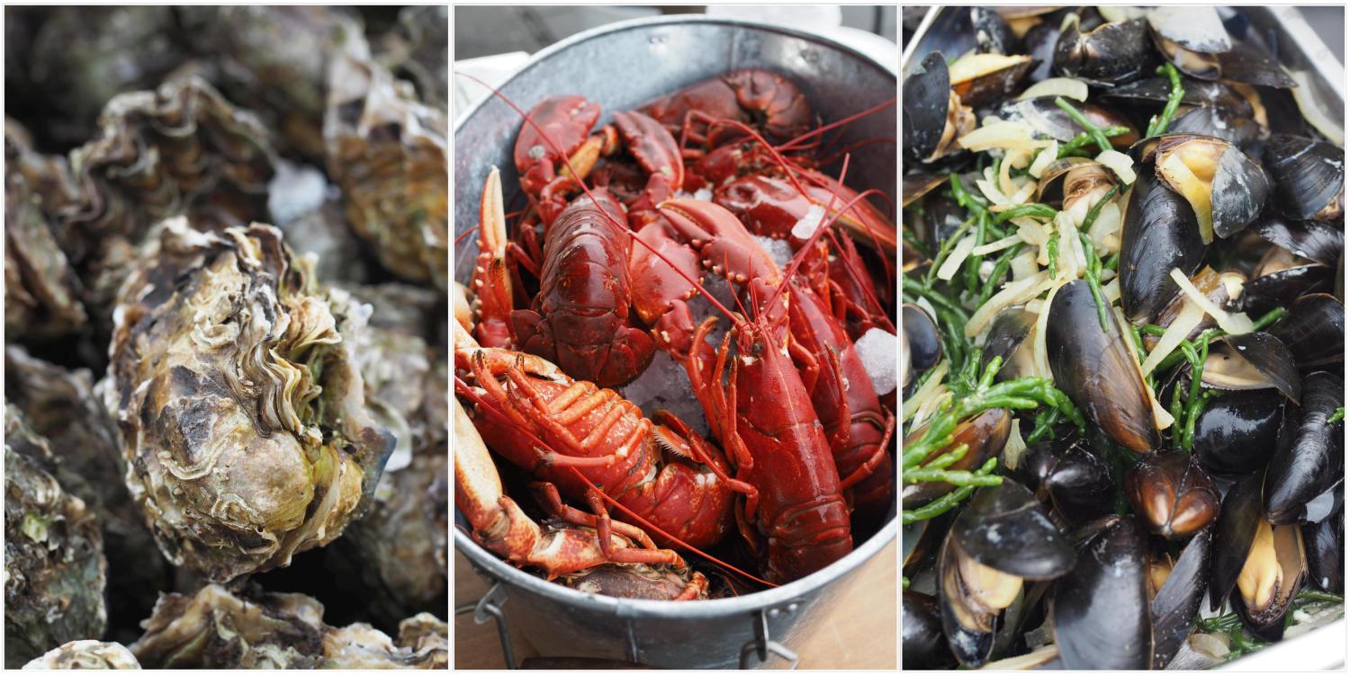 Welche Fische Darf Man In Holland Mitnehmen Kulinarisches Zeeland (Holland) - Ein Paradies für Meeresfrüchte