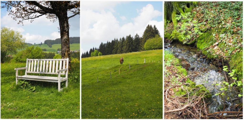 golf-und-wellnesshotel-hanuselhof-allgaeu