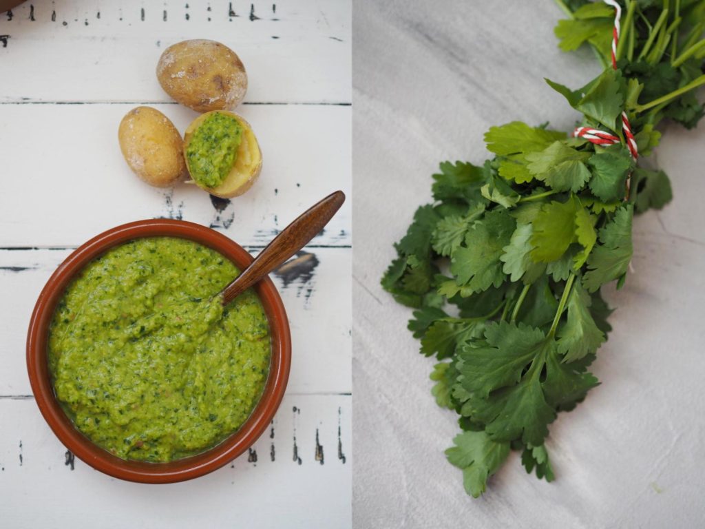 mojo-verde