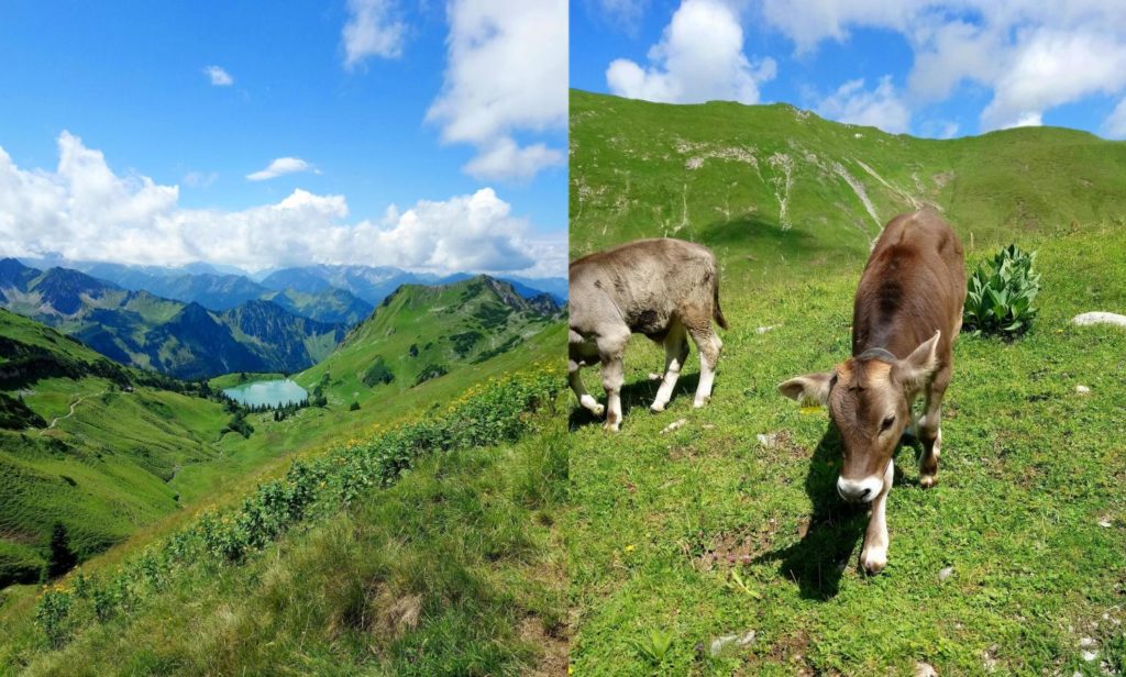 hotel-oberstdorf-im-wunderschoenen-allgaeu-urlaub-fuer-die-ganz-familie