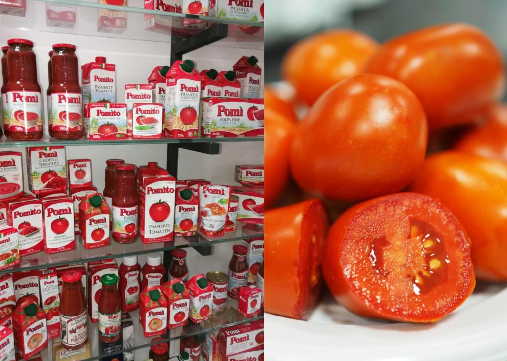 spaghetti-nester-low-carb-besuch-tomatenplantage-pomito-italien