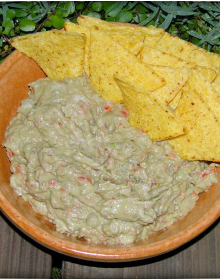 Guacamole mit Nachos oder als Dip aus dem Thermomix - schmeckt immer lecker