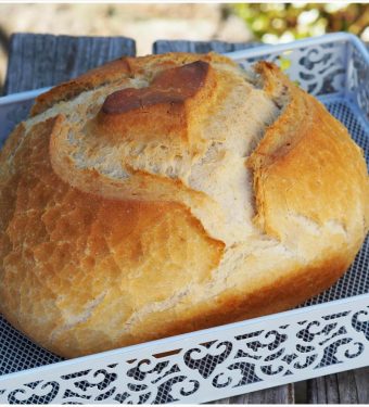 herziger-dinkellaib-lieblingsbrot-dinkel