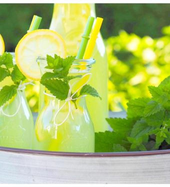 Zitronenmelissen-Ingwer-Limonade-mein-kleiner-Bio-Garten-von-real